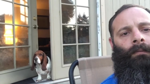 Bossy Basset Hound Gets Vocal