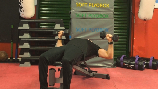 Dumbbell Chest Press Flat