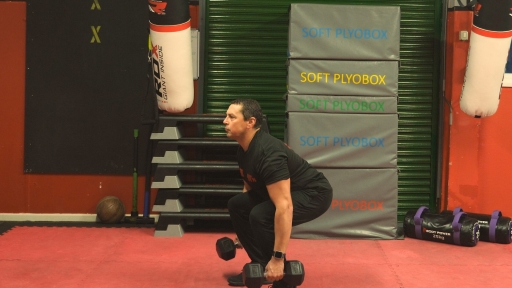 Dumbbell Squat