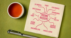 A guide to career mapping and how it can help you discover your path