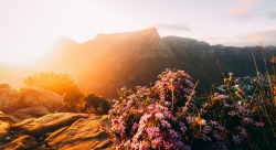 Famous African landmarks everyone should visit at least once